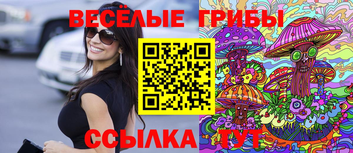 Галлюциногенные грибы Psilocybine cubensis  Вход с VPN  Юрга 